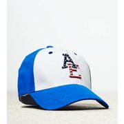 Aeo Flag Logo Fitted Baseball Cap - $14.24