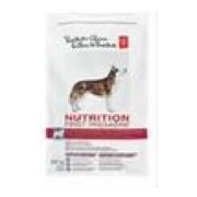 mini australian shepherd shedding