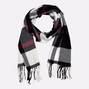 Rectangle Plaid Scarf With Fringes - 2/$35.00