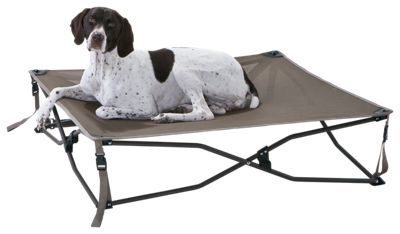 cabelas elevated dog bed