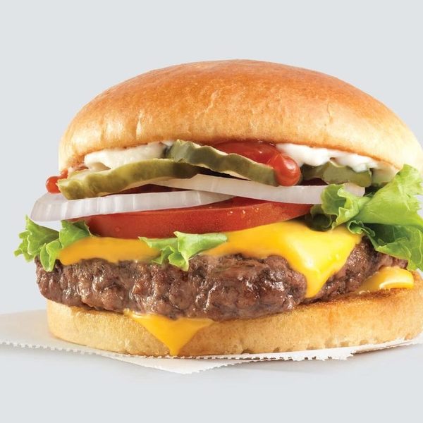 Hamburger single login
