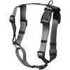 Canadian Canine Anchor Harness - $17.99 ($11.96 Off)