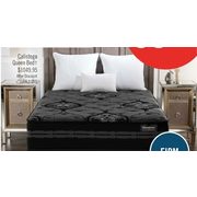 Calistoga Queen Bed - $1049.95