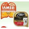 Iams Cat, Pedigree or Cesar Dog Wet Food - 5/$8.00