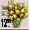 Fresh Cut Tulips - $12.99
